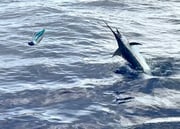 Fishing in Kaiminani, Hawaii