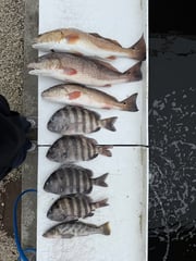Fishing in Palm Valley, Florida