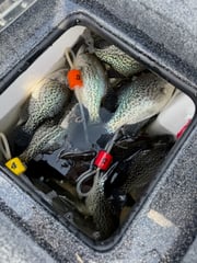 Fishing in Salisbury, North Carolina