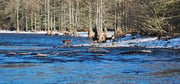 Fishing in Broken Bow, Oklahoma
