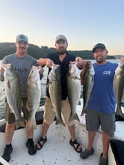 Fishing in Rogers, Arkansas