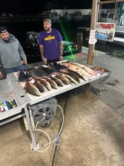 Fishing in Lafitte, Louisiana