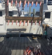 Fishing in Destin, Florida