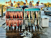 Fishing in Shalimar, Florida