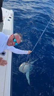 Fishing in Holiday, Florida