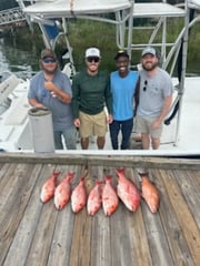Fishing in Pensacola, Florida
