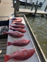 Fishing in Gulf Shores, Alabama