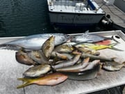 Fishing in Riviera Beach, Florida