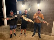 Fishing in Wyandotte, Michigan