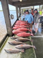 Fishing in Venice, Louisiana