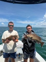 Fishing in Tampa, Florida