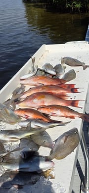 Fishing in Clearwater, Florida