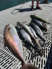 Fishing in Morehead City, North Carolina