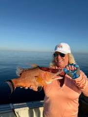 Fishing in Clearwater, Florida