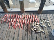 Fishing in Pensacola, Florida