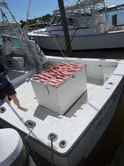 Fishing in Gulf Shores, Alabama