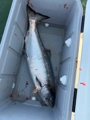Fishing in Edmonds, Washington