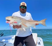 Redfish fishing in Manteo, North Carolina