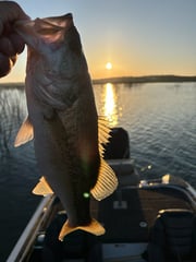 Fishing in Voss, Texas