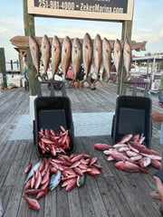 Fishing in Orange Beach, Alabama