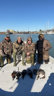 Hunting in Freeport, Texas