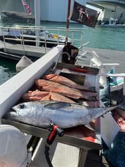 Fishing in St. Petersburg, Florida