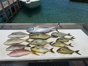 Fishing in Riviera Beach, Florida