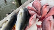 Fishing in Gulf Shores, Alabama