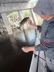 Fishing in Weston, Florida