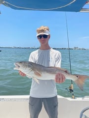 Redfish fishing in Clearwater, Florida