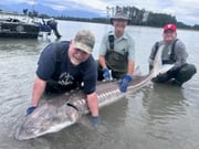 Fishing in Fraser Valley, Canada