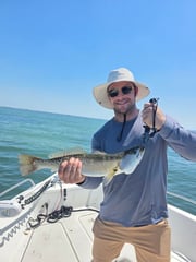 Fishing in Sarasota, Florida