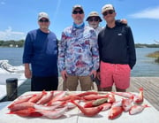 Red Snapper Fishing in Pensacola, Florida