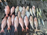 Fishing in Fort Myers Beach, Florida