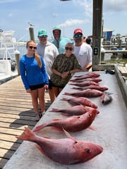 Fishing in Dauphin Island, Alabama