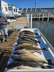 Fishing in Wyandotte, Michigan
