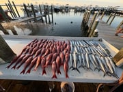 Fishing in Gulf Shores, Alabama