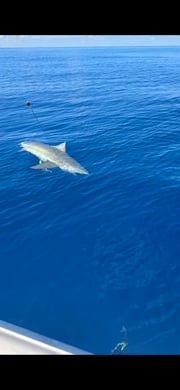 Fishing in Holiday, Florida