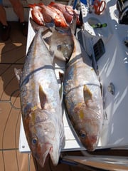 Fishing in Gulf Breeze, Florida