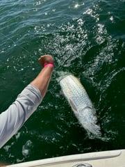 Fishing in Indian Rocks Beach, Florida
