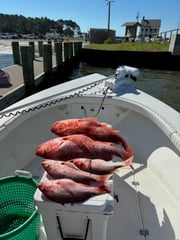 Fishing in Gulf Shores, Alabama