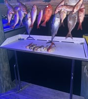 Fishing in Destin, Florida