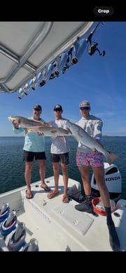 Fishing in Panama City, Florida