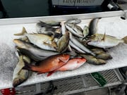 Fishing in Riviera Beach, Florida