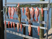 Fishing in Panama City, Florida