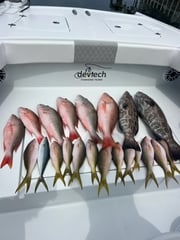 Fishing in Key West, Florida