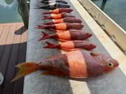 Fishing in Jupiter, Florida