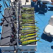 Fishing in Key West, Florida