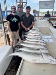 Fishing in Kingston, Oklahoma