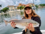 Redfish fishing in Clearwater, Florida